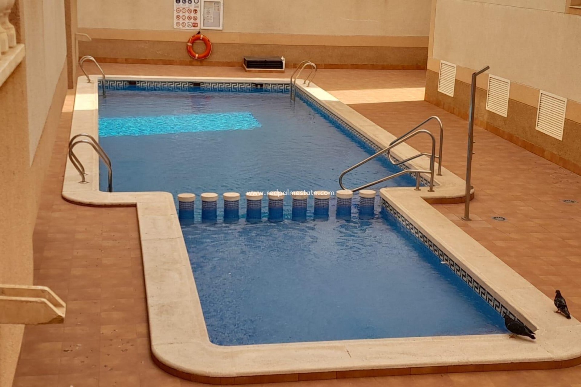 Revente - Appartement -
Torrevieja - El molino