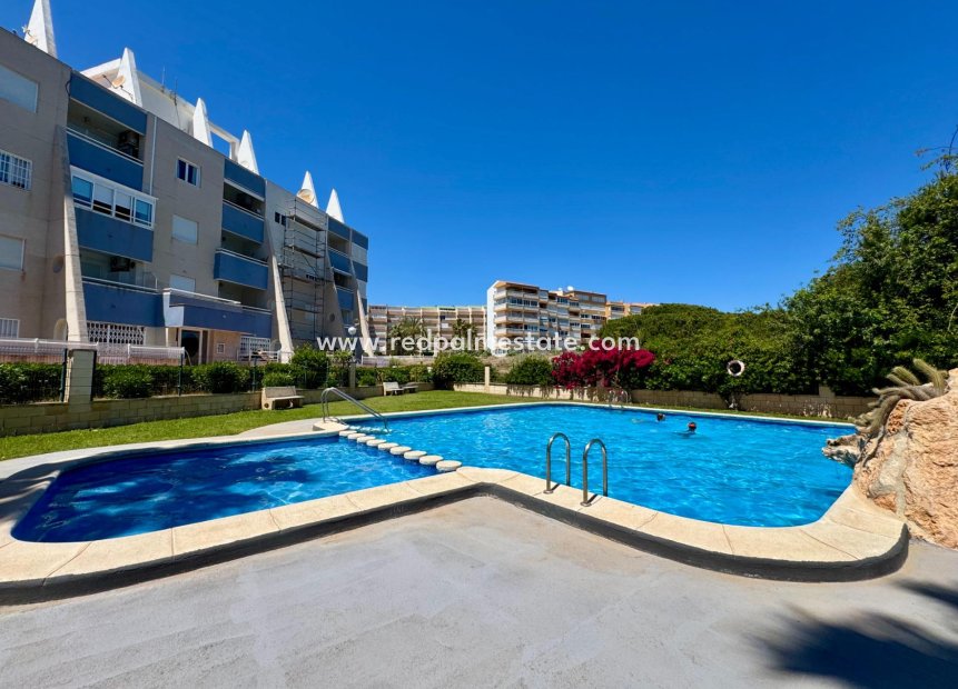 Revente - Appartement -
Torrevieja - Gaspar Perrelló