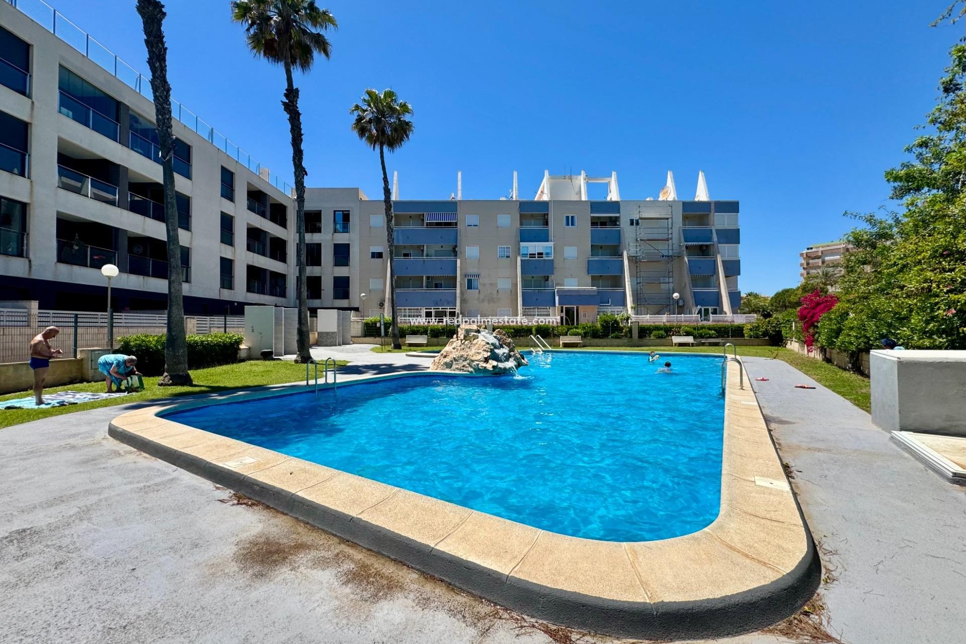 Revente - Appartement -
Torrevieja - Gaspar Perrelló