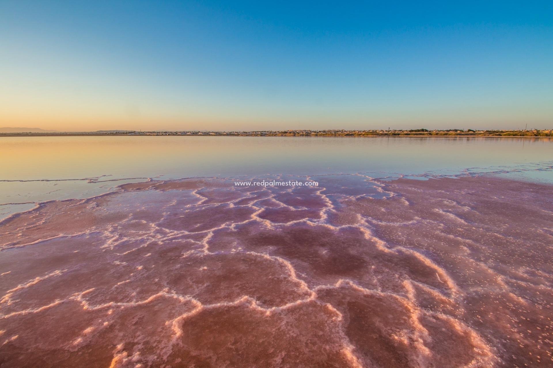Revente - Appartement -
Torrevieja - La Mata