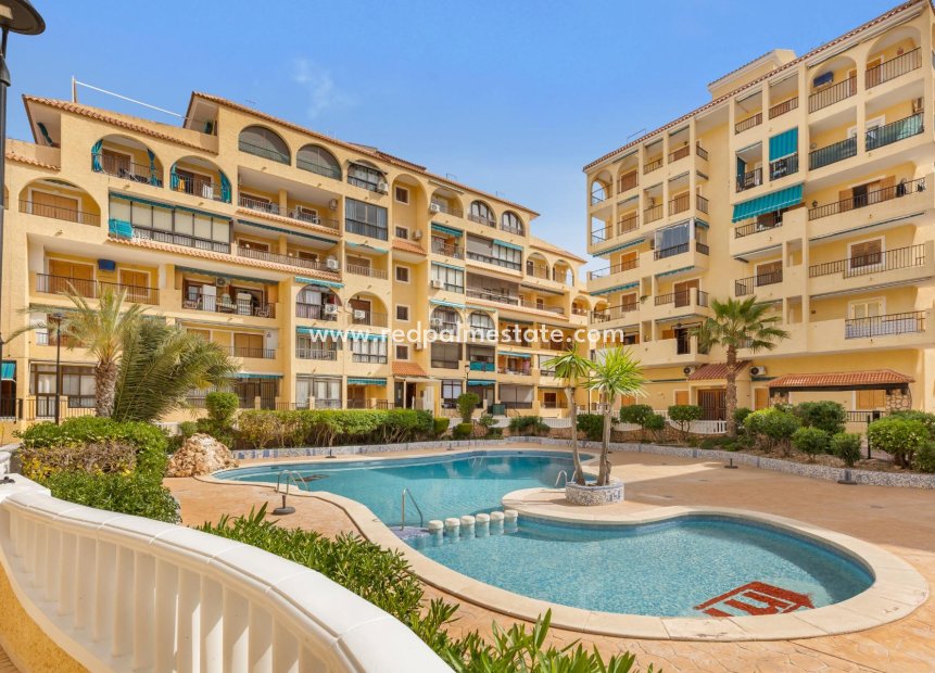 Revente - Appartement -
Torrevieja - La Mata