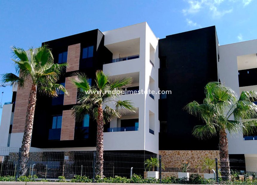 Revente - Appartement -
Torrevieja - Los Altos