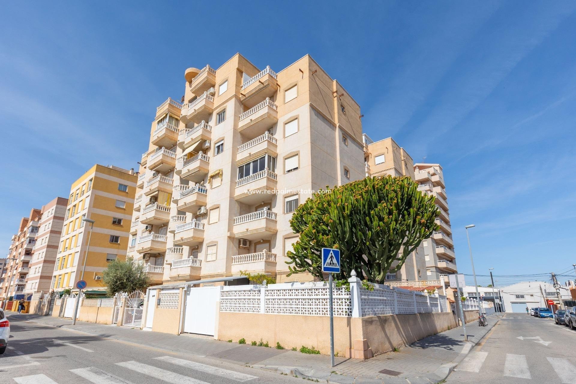 Revente - Appartement -
Torrevieja - Nueva Torrevieja - Aguas Nuevas
