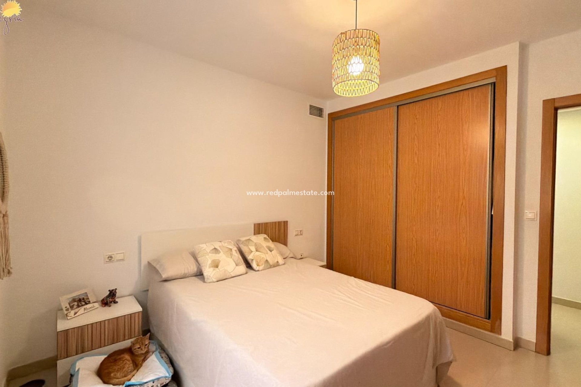 Revente - Appartement -
Torrevieja - PARQUE DE LAS NACIONES