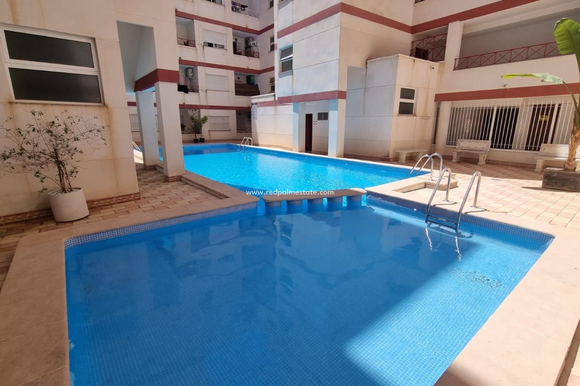 Revente - Appartement -
Torrevieja - PARQUE DE LAS NACIONES