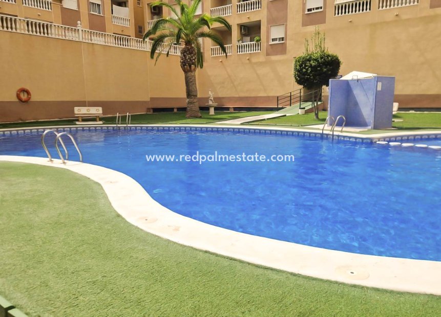 Revente - Appartement -
Torrevieja - PARQUE DE LAS NACIONES