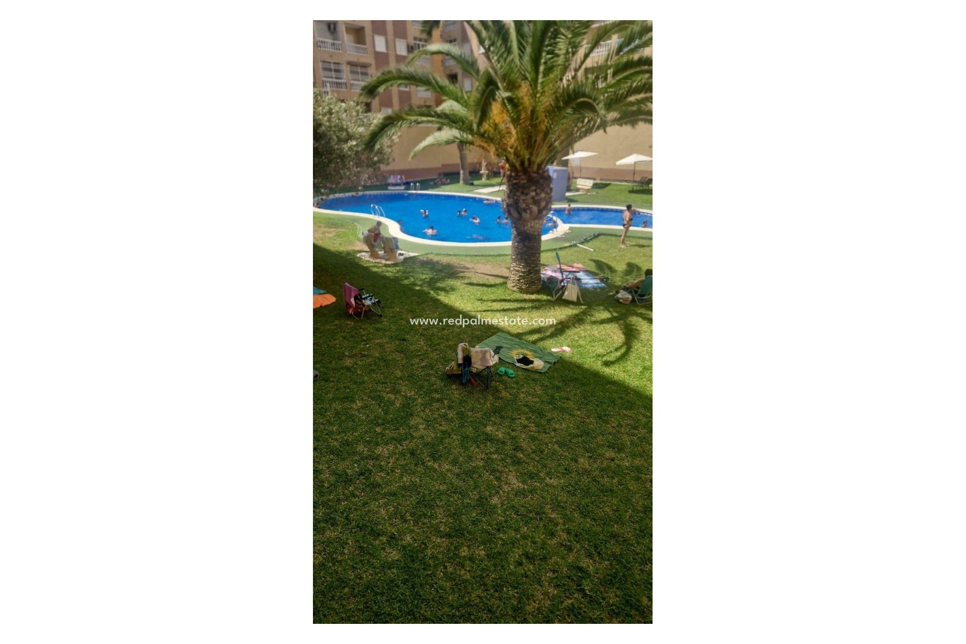 Revente - Appartement -
Torrevieja - PARQUE DE LAS NACIONES