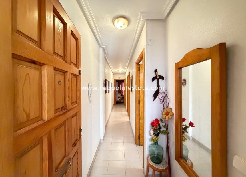 Revente - Appartement -
Torrevieja - Playa del Cura