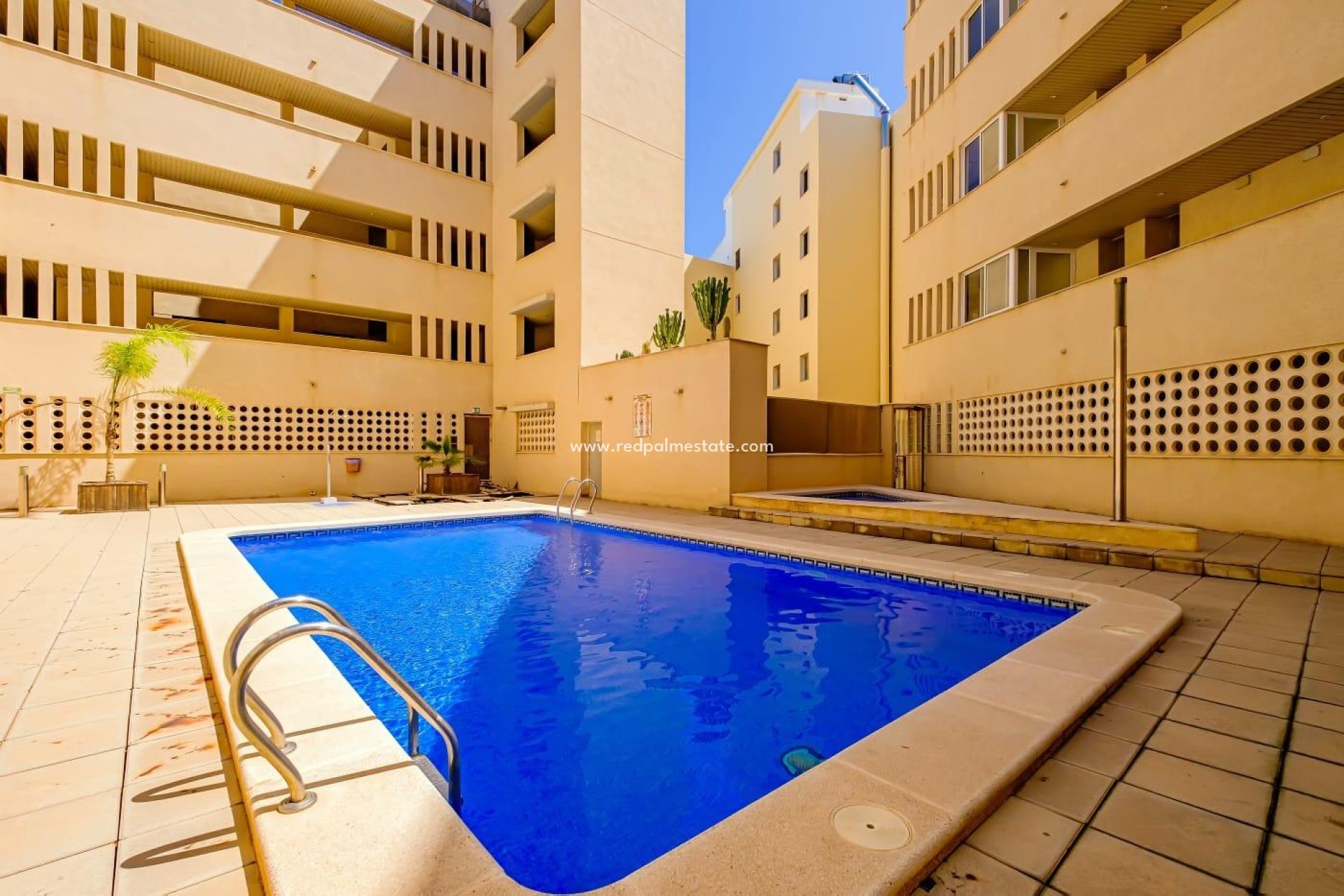 Revente - Appartement -
Torrevieja - Playa del Cura