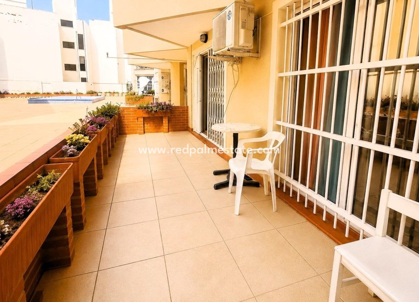 Revente - Appartement -
Torrevieja - Playa del Cura