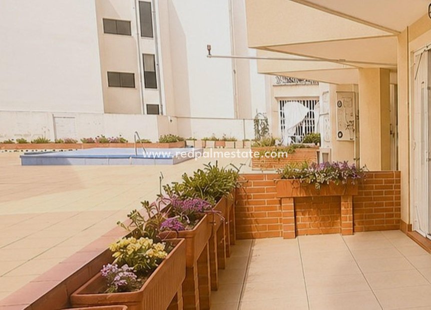 Revente - Appartement -
Torrevieja - Playa del Cura