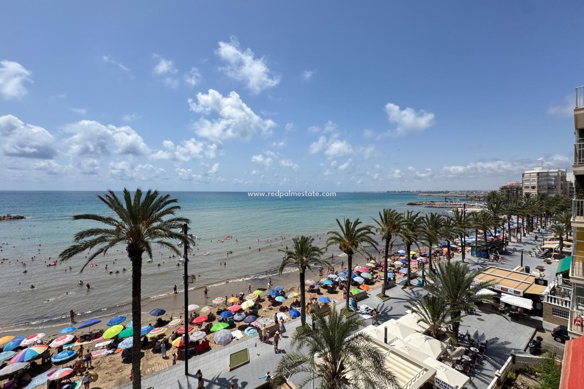 Revente - Appartement -
Torrevieja - Playa del Cura