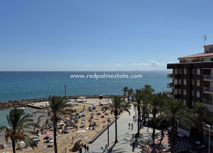 Revente - Appartement -
Torrevieja - Playa del Cura