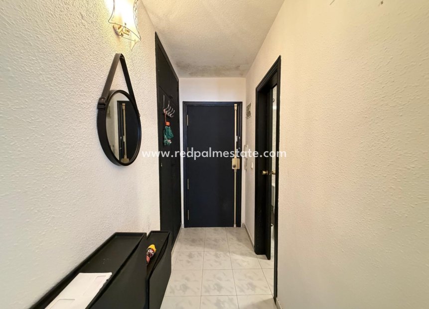 Revente - Appartement -
Torrevieja - Playa del Cura