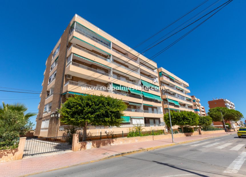 Revente - Appartement -
Torrevieja - Punta Prima Torrevieja