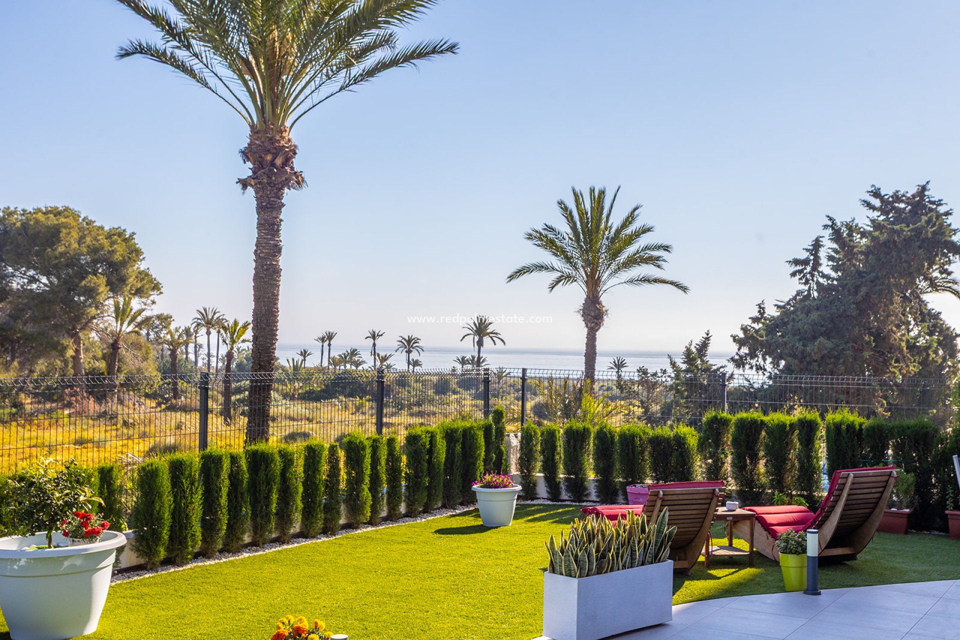 Revente - Appartement -
Torrevieja - Punta Prima Torrevieja