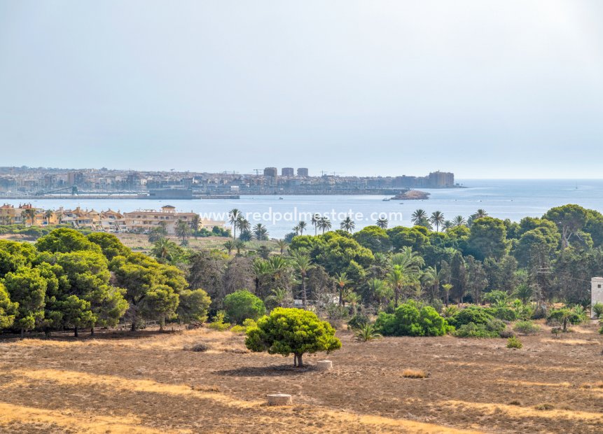 Revente - Appartement -
Torrevieja - Punta prima