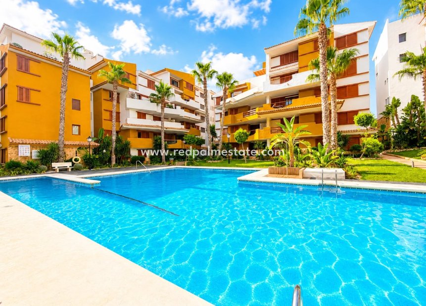 Revente - Appartement -
Torrevieja - Punta prima