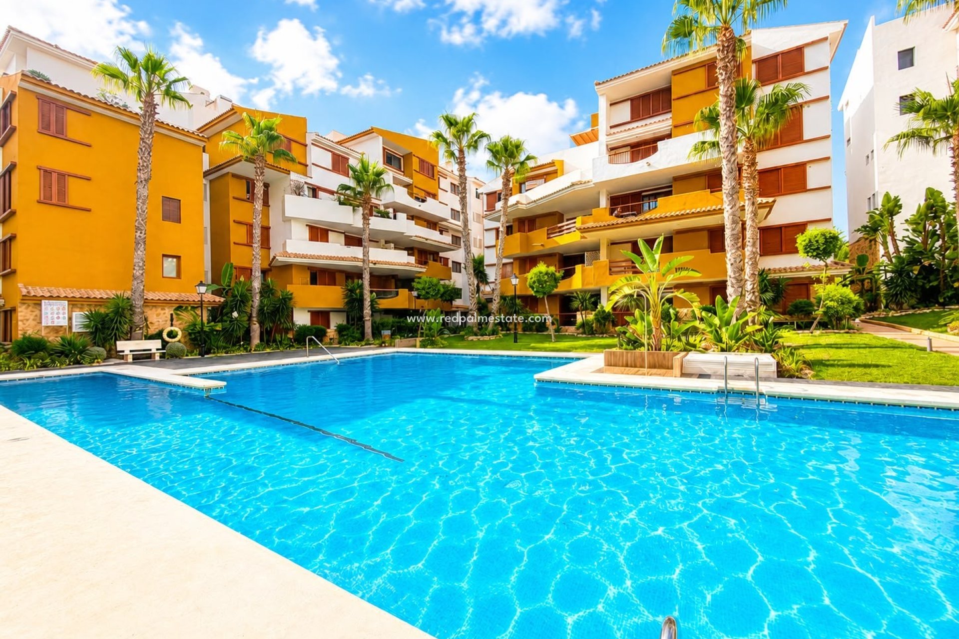 Revente - Appartement -
Torrevieja - Punta prima
