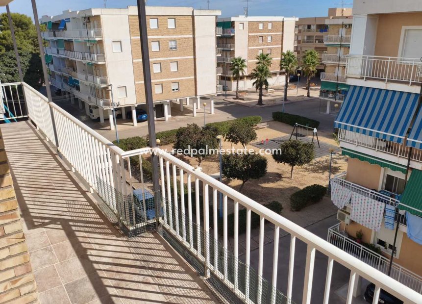 Revente - Appartement -
Torrevieja - Punta prima