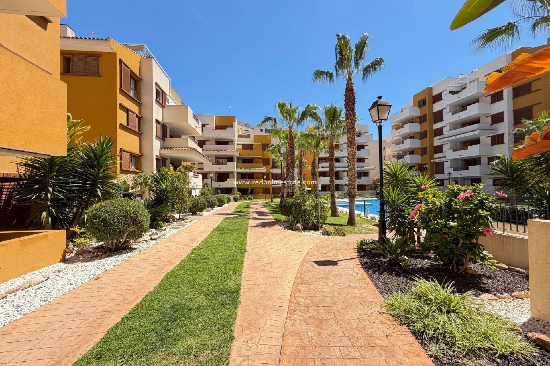Revente - Appartement -
Torrevieja - Punta prima