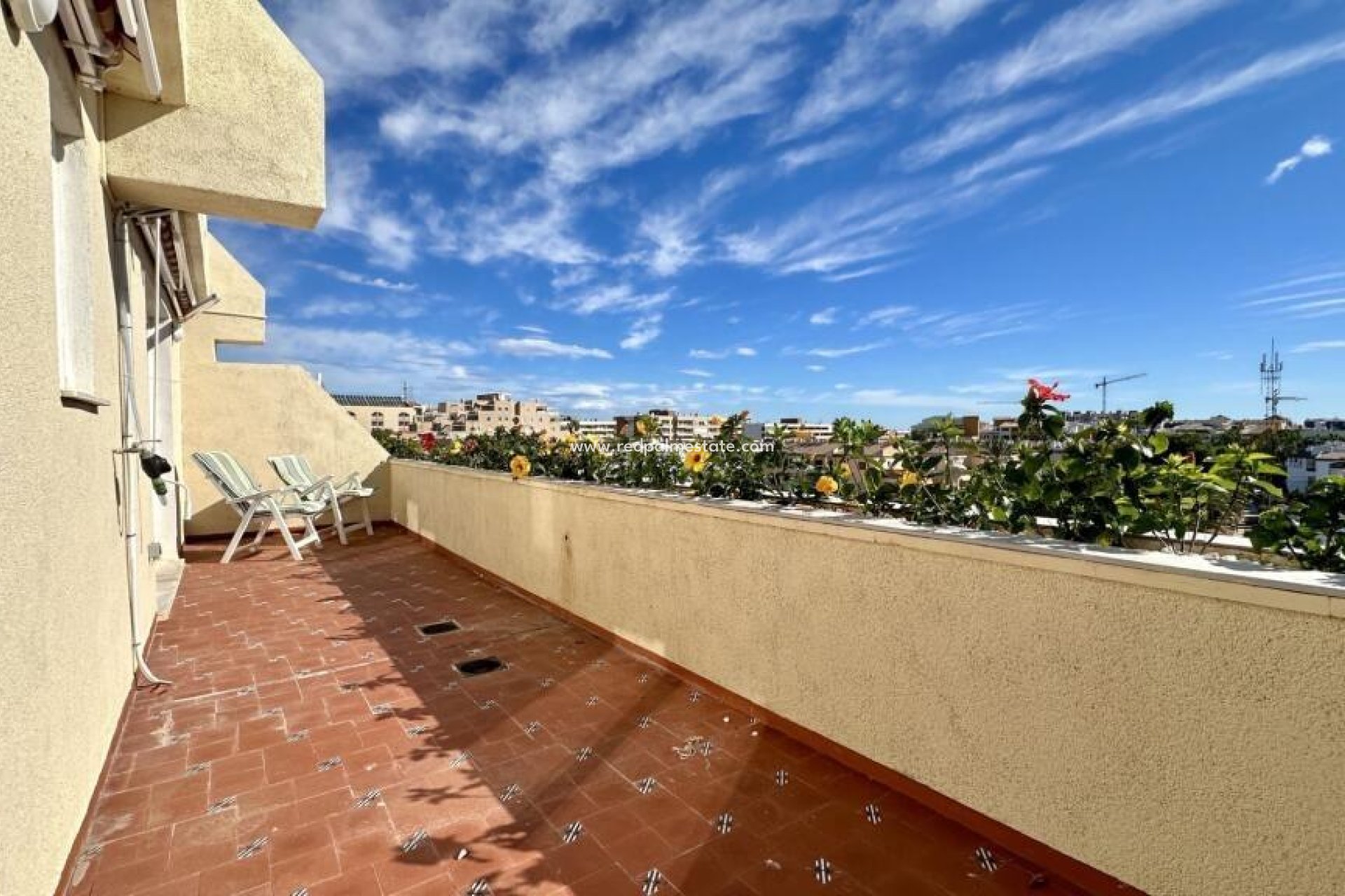 Revente - Appartement -
Torrevieja - Punta prima