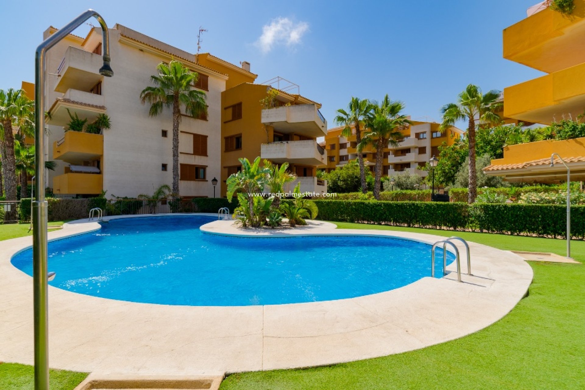 Revente - Appartement -
Torrevieja - Punta prima