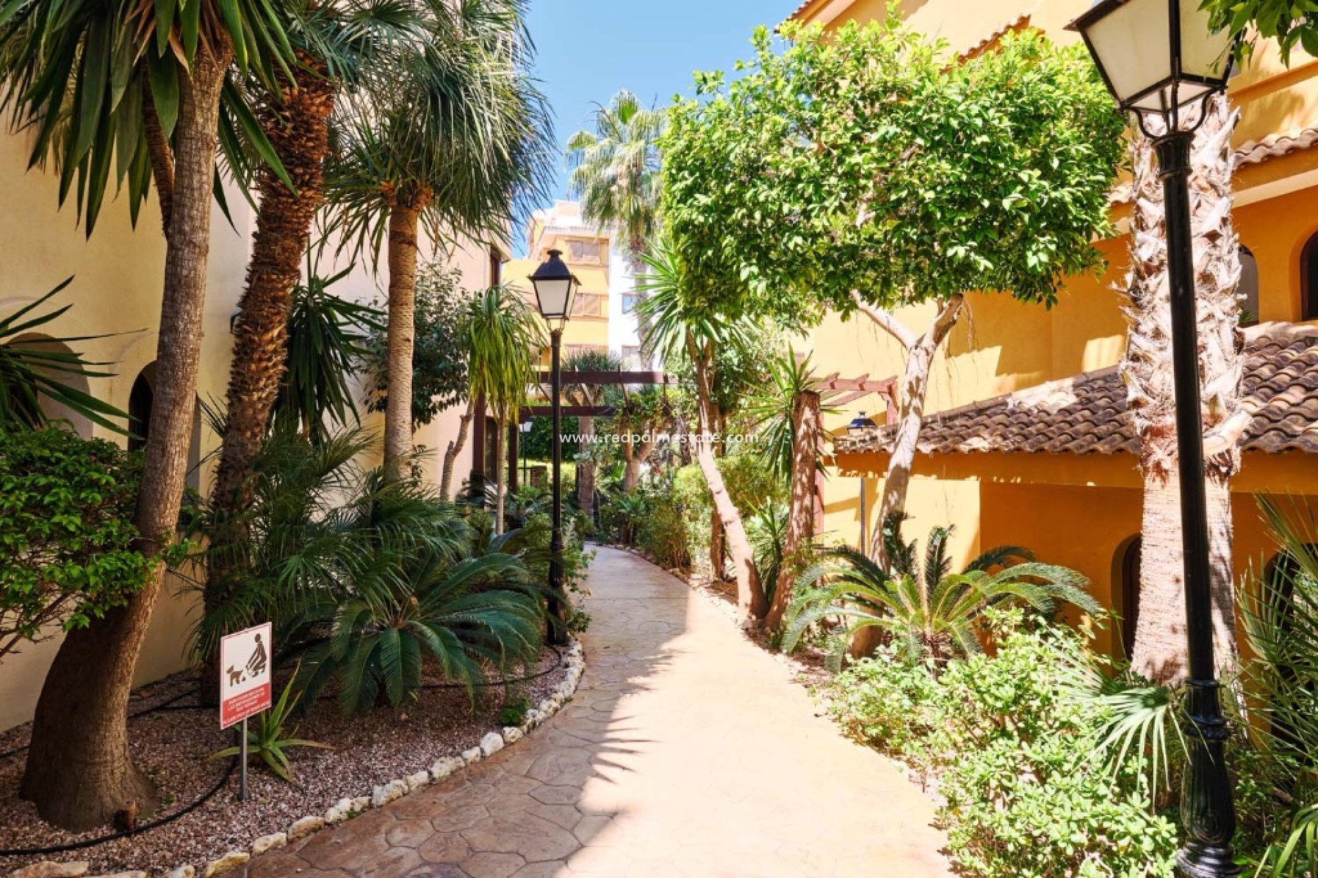 Revente - Appartement -
Torrevieja - Punta prima