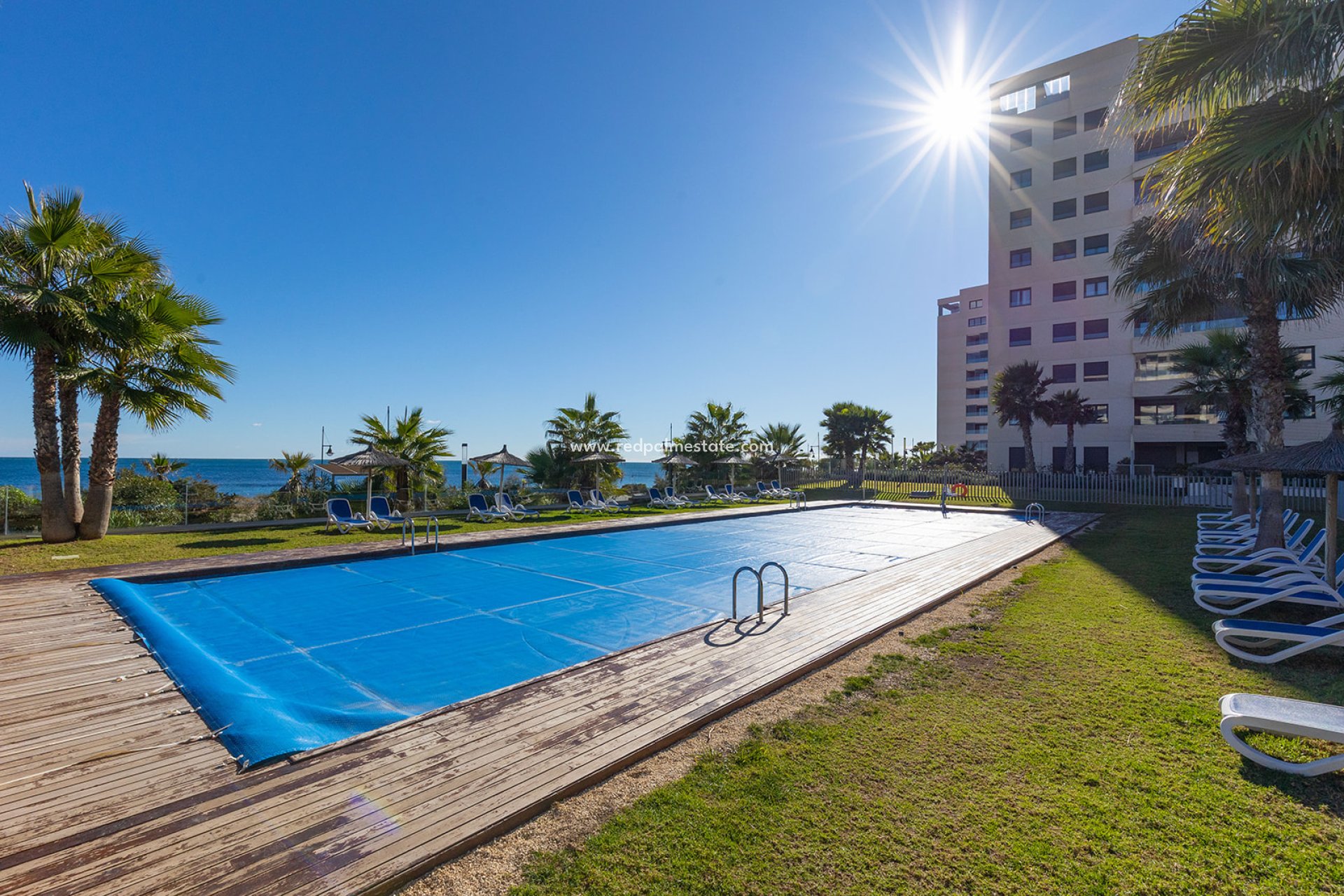 Revente - Appartement -
Torrevieja - Punta prima
