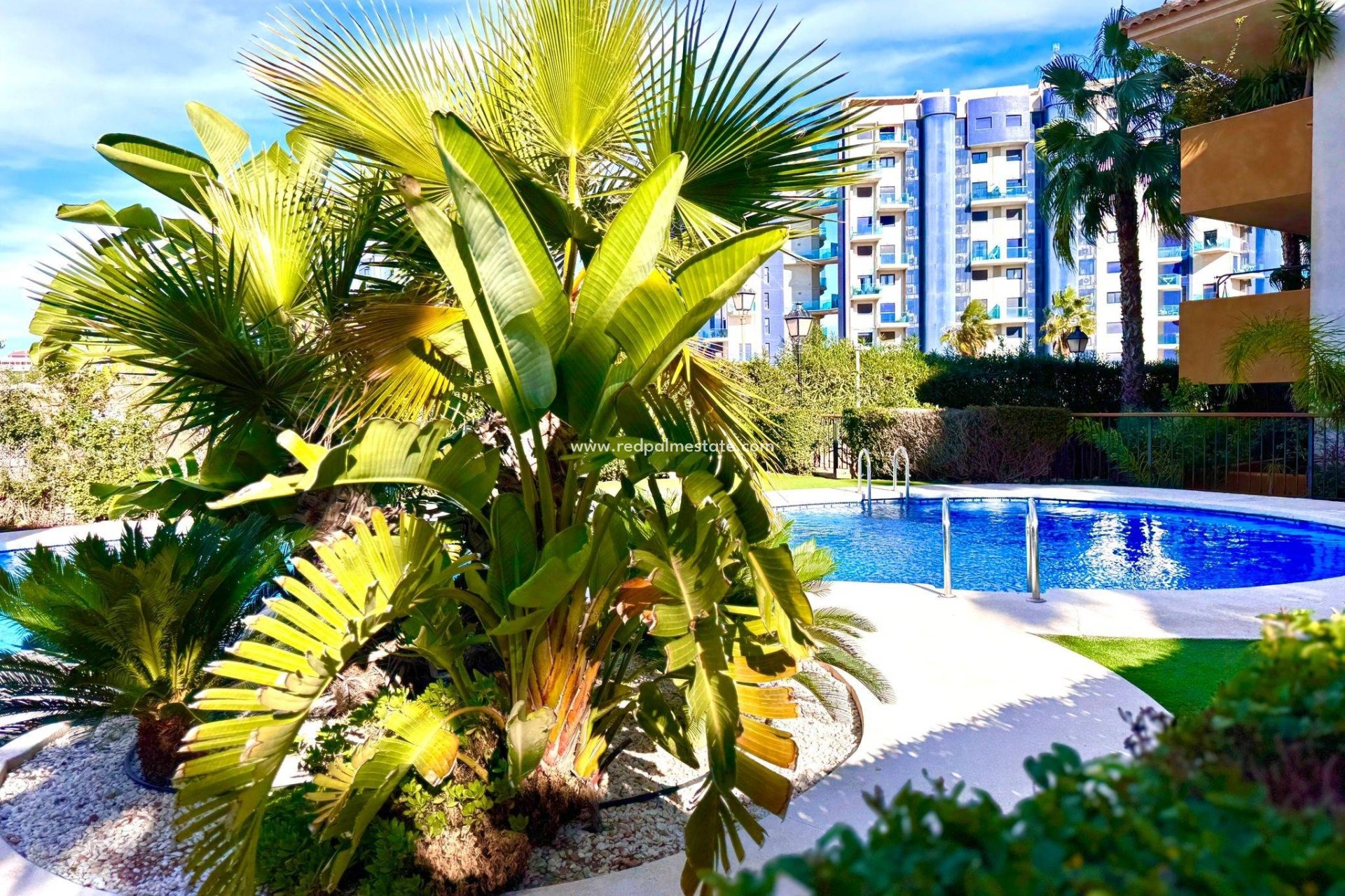 Revente - Appartement -
Torrevieja - Punta prima