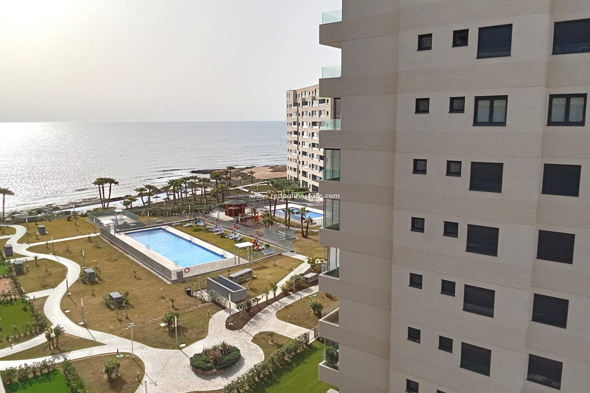 Revente - Appartement -
Torrevieja - Punta prima