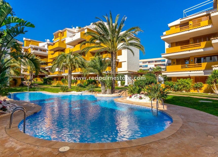 Revente - Appartement -
Torrevieja - Punta prima