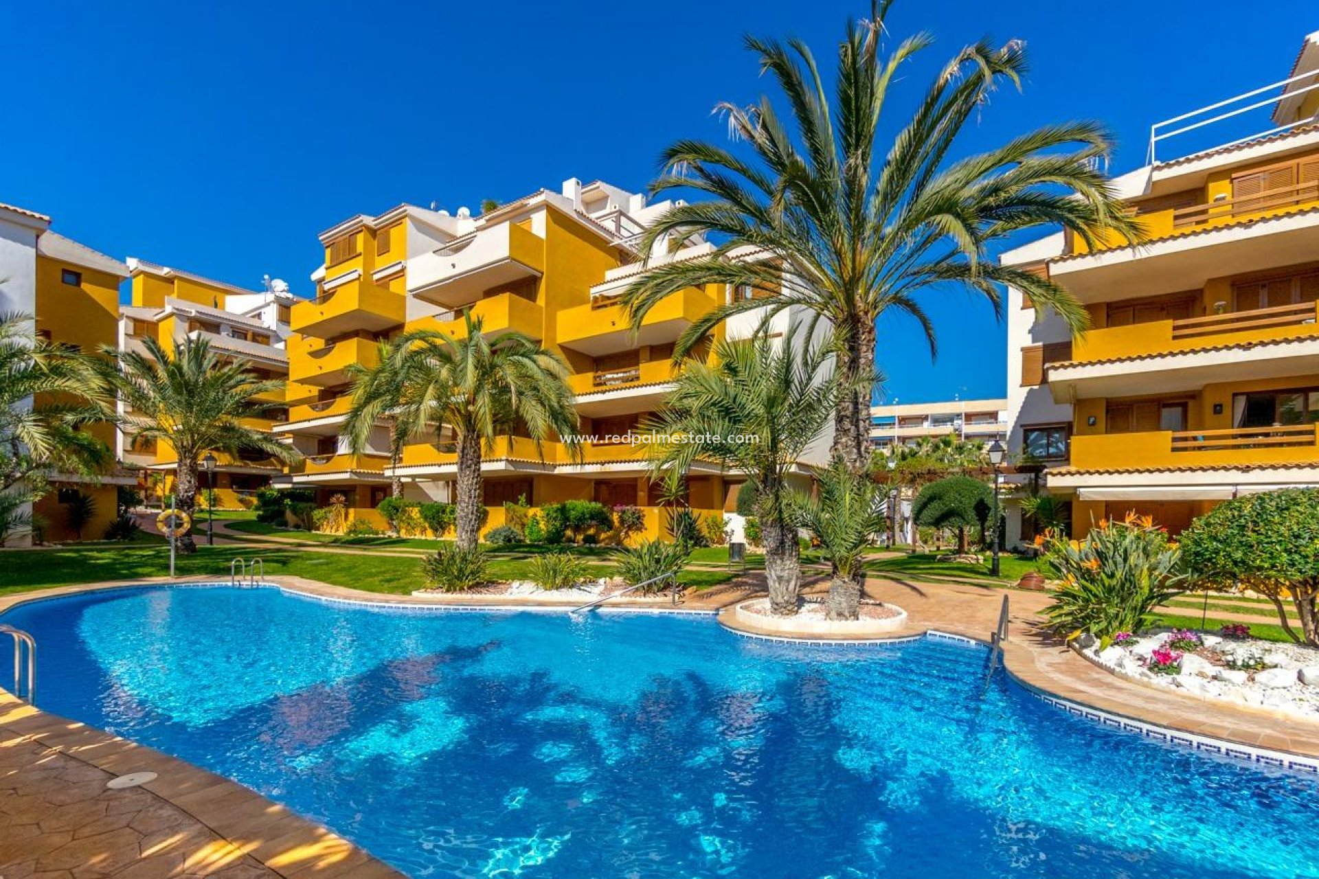Revente - Appartement -
Torrevieja - Punta prima