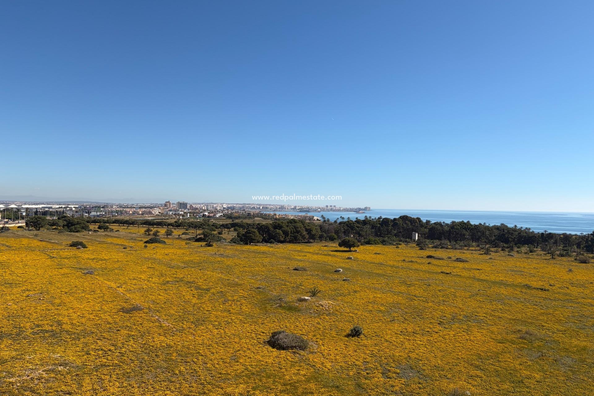 Revente - Appartement -
Torrevieja - Punta prima
