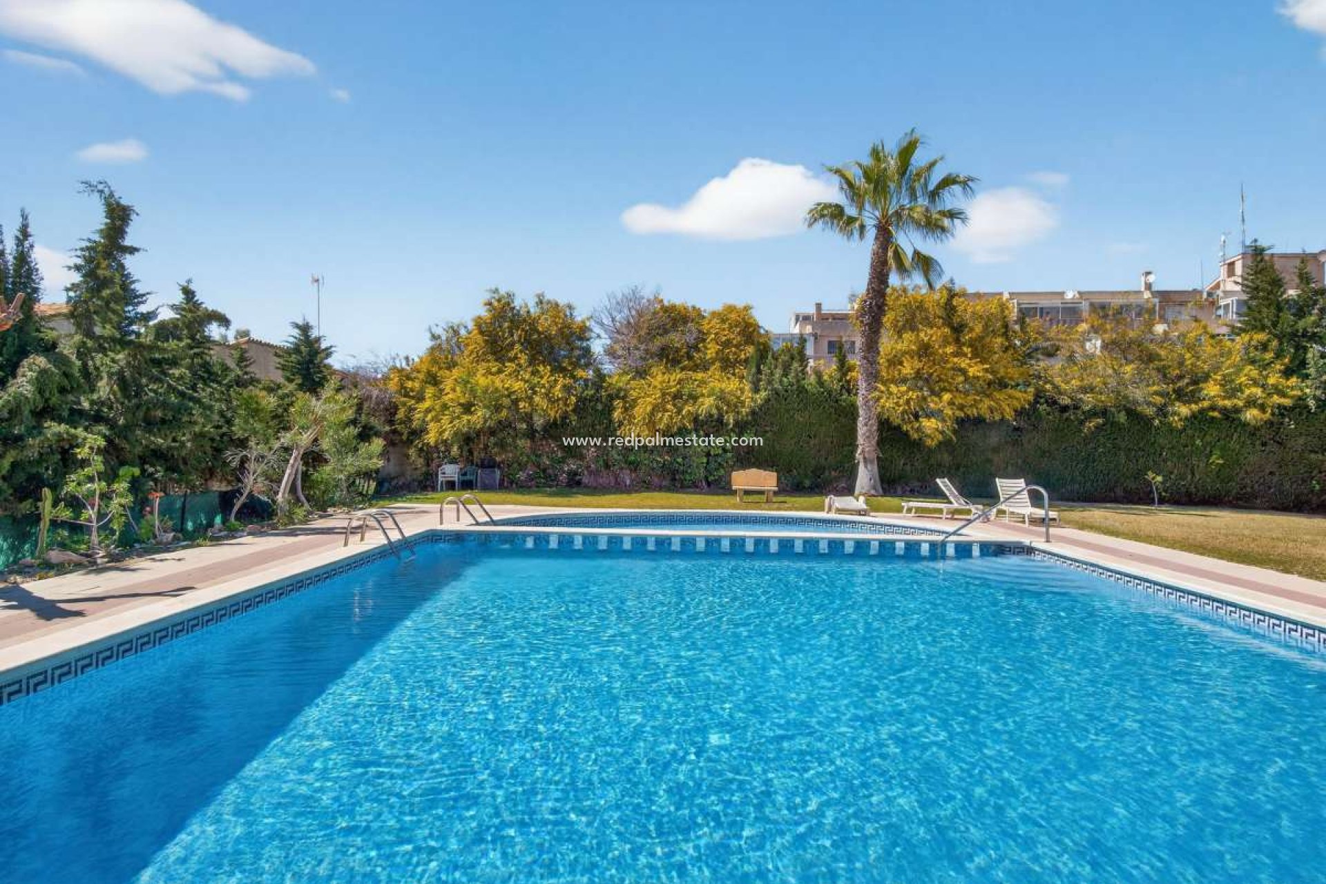 Revente - Appartement -
Torrevieja - Punta prima