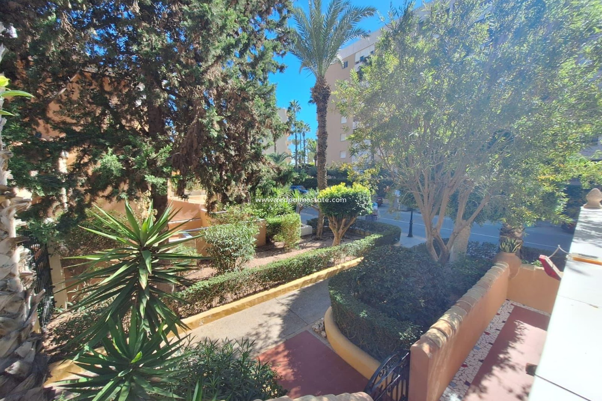Revente - Appartement -
Torrevieja - Rosaleda-los frutales