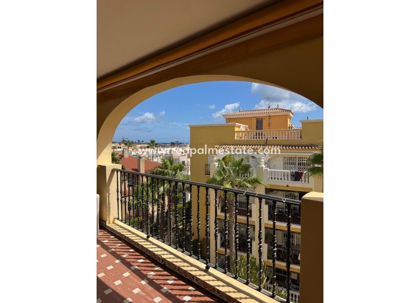 Revente - Appartement -
Torrevieja - Rosaleda-los frutales