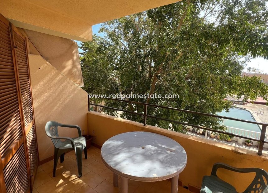 Revente - Appartement -
Torrevieja - Rosaleda-los frutales