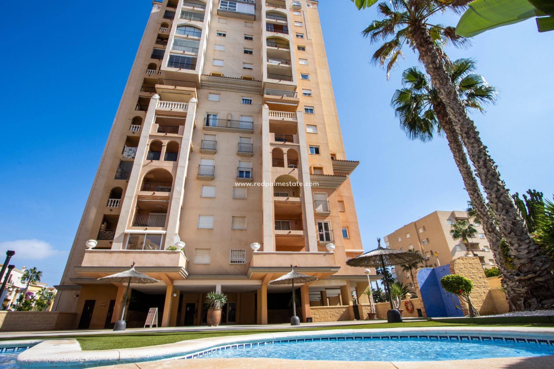Revente - Appartement -
Torrevieja - Rosaleda-los frutales