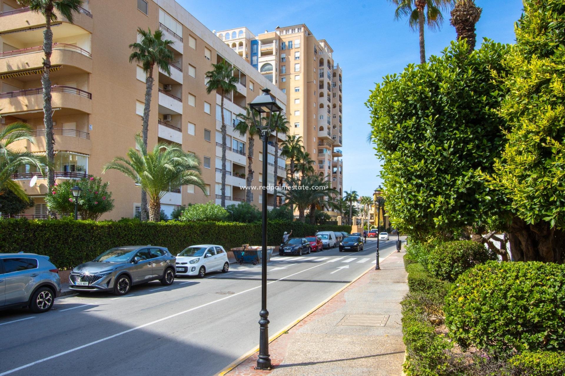 Revente - Appartement -
Torrevieja - Rosaleda-los frutales