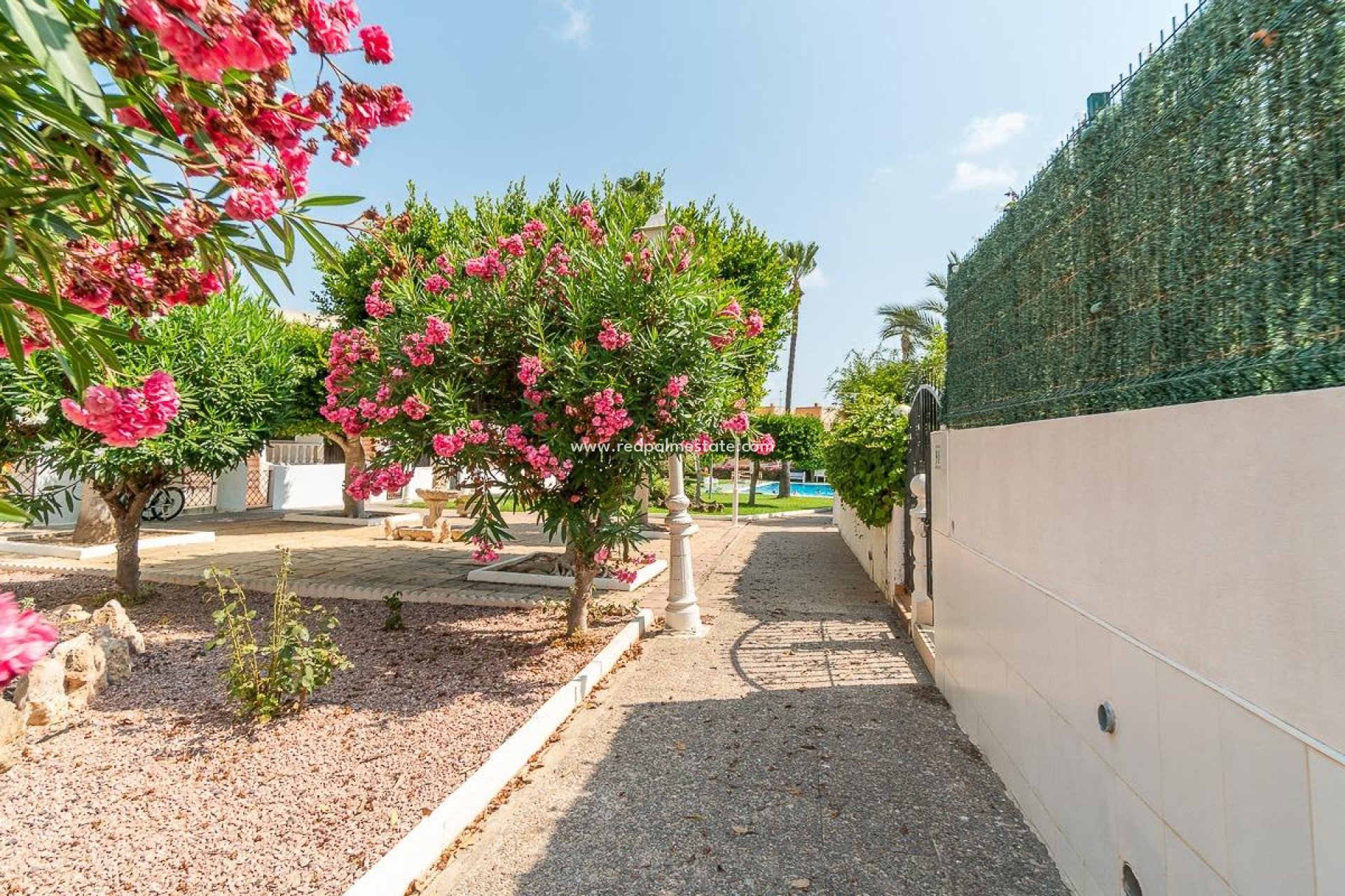 Revente - Appartement -
Torrevieja - Torreblanca