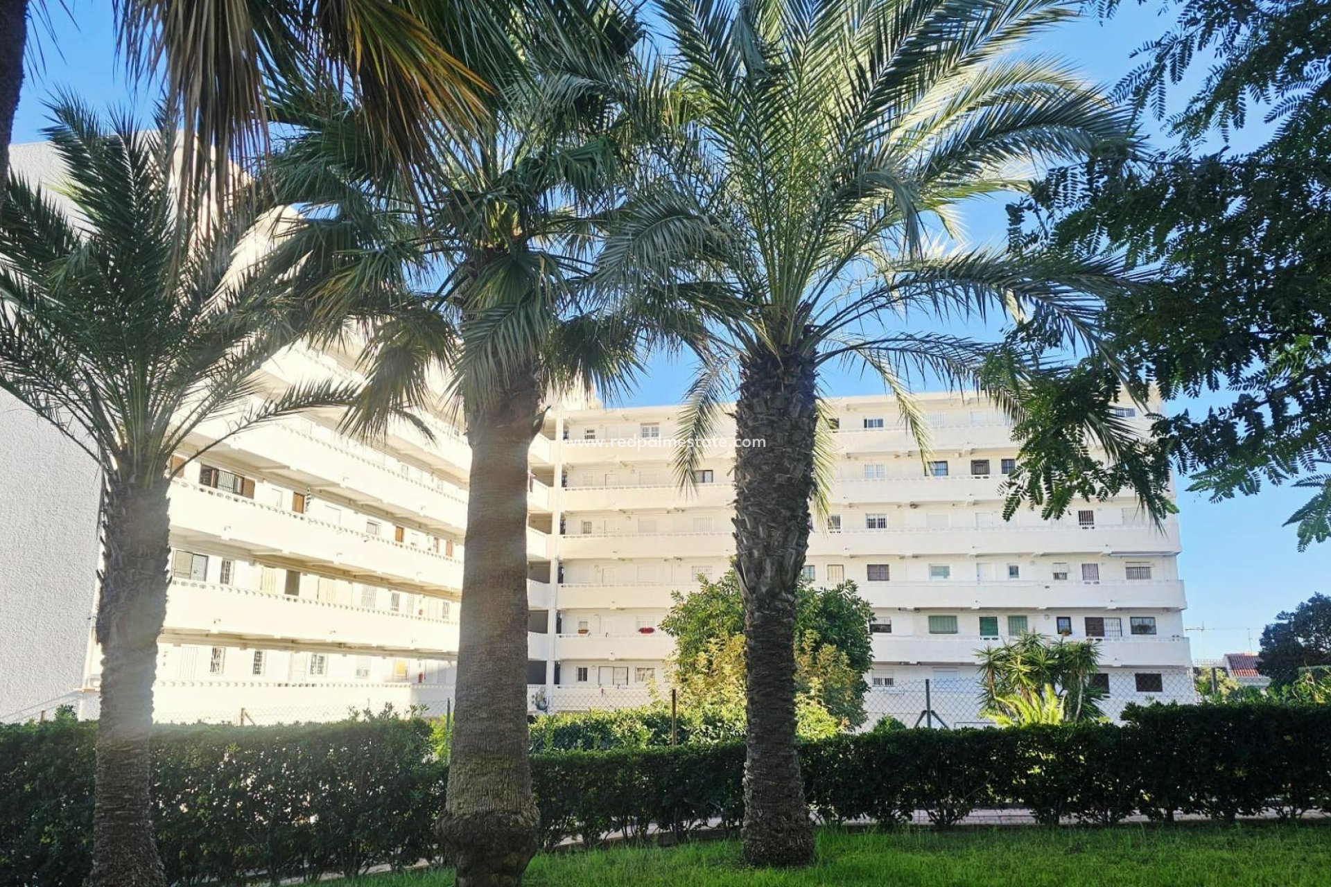 Revente - Appartement -
Torrevieja - Torreblanca