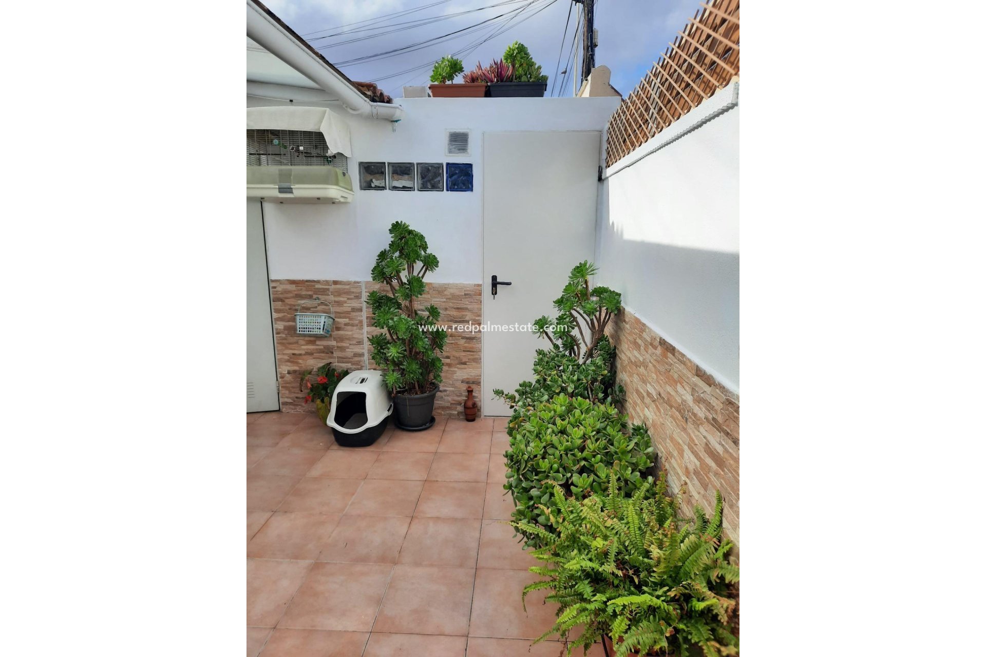 Revente - Appartement -
Torrevieja - Torretas