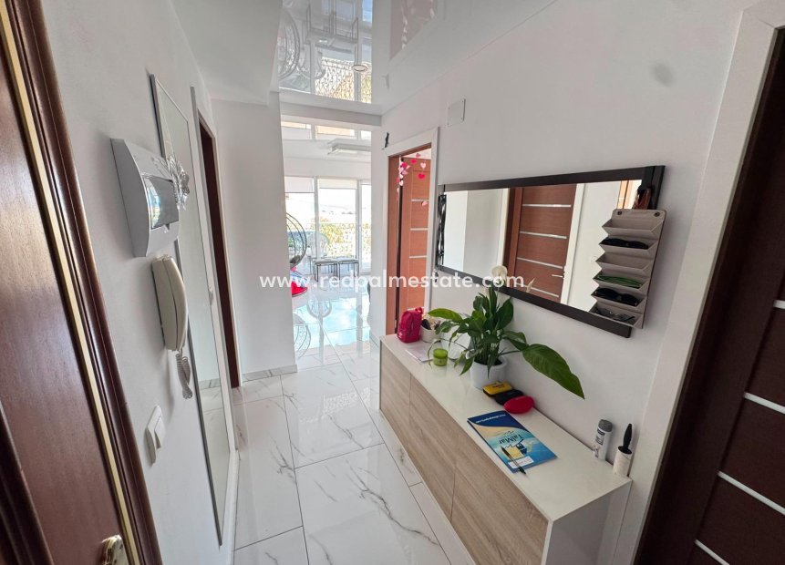 Revente - Appartement -
Torrevieja - Zona Los Frutales