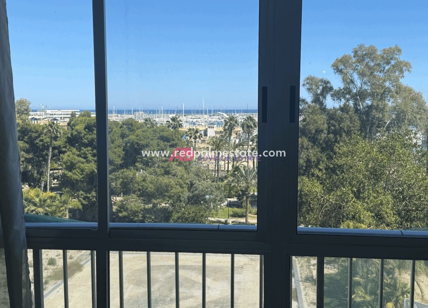 Revente - Appartement -
Torrevieja