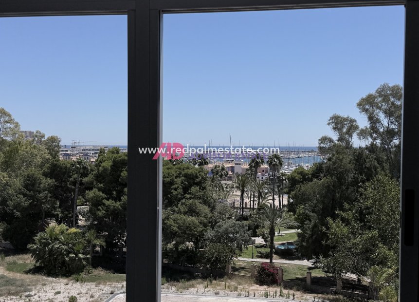 Revente - Appartement -
Torrevieja