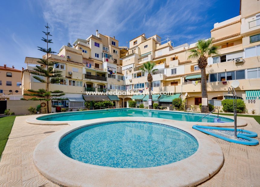 Revente - Appartement -
Torrevieja
