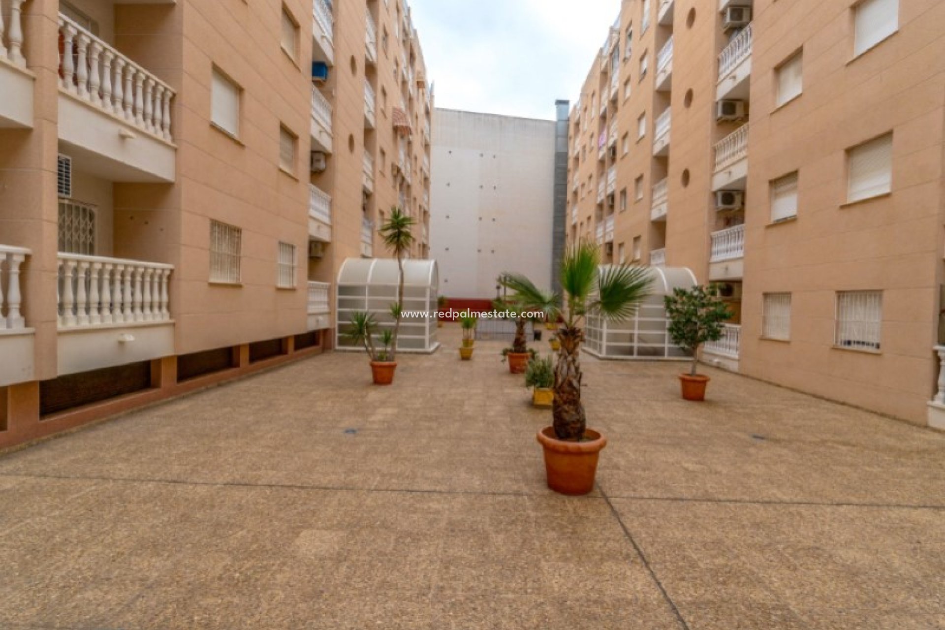 Revente - Appartement -
Torrevieja