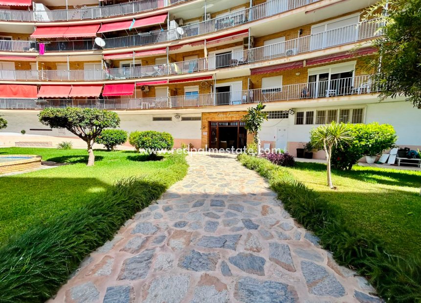 Revente - Appartement -
Torrevieja