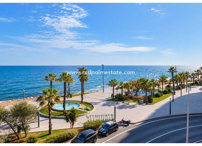 Revente - Appartement -
Torrevieja